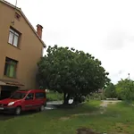 Green Gardens 2