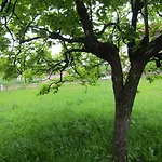 Green Gardens 2