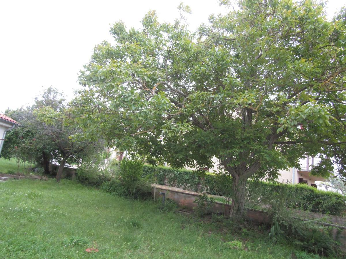 Gardens 2 Rovigno