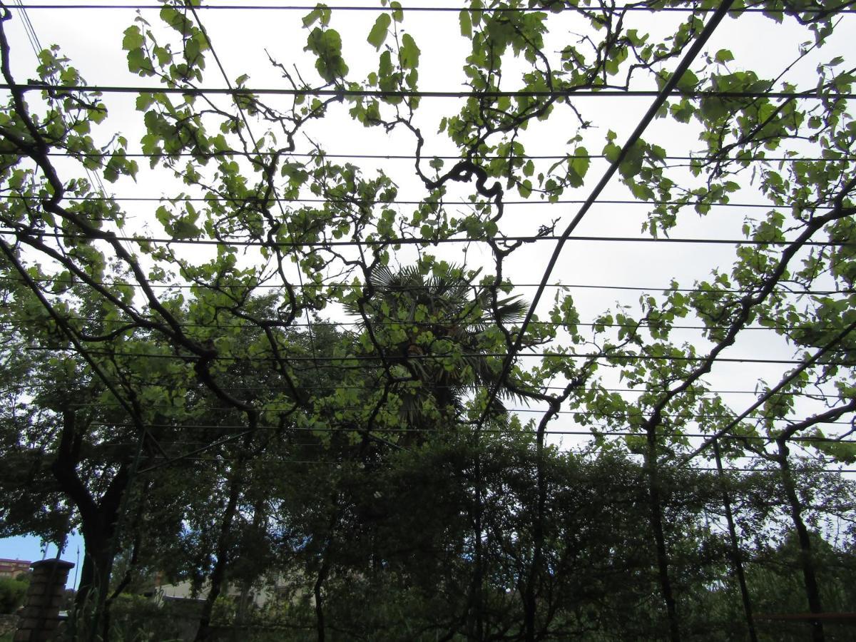 Appartamento Gardens 2 *